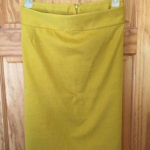 Lane Bryant Pencil Skirt